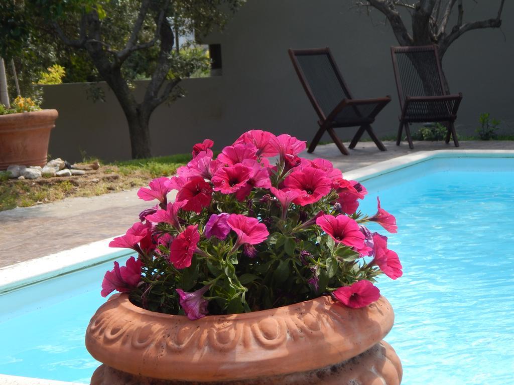 Slow Living Beautiful Villa Rafína Dış mekan fotoğraf