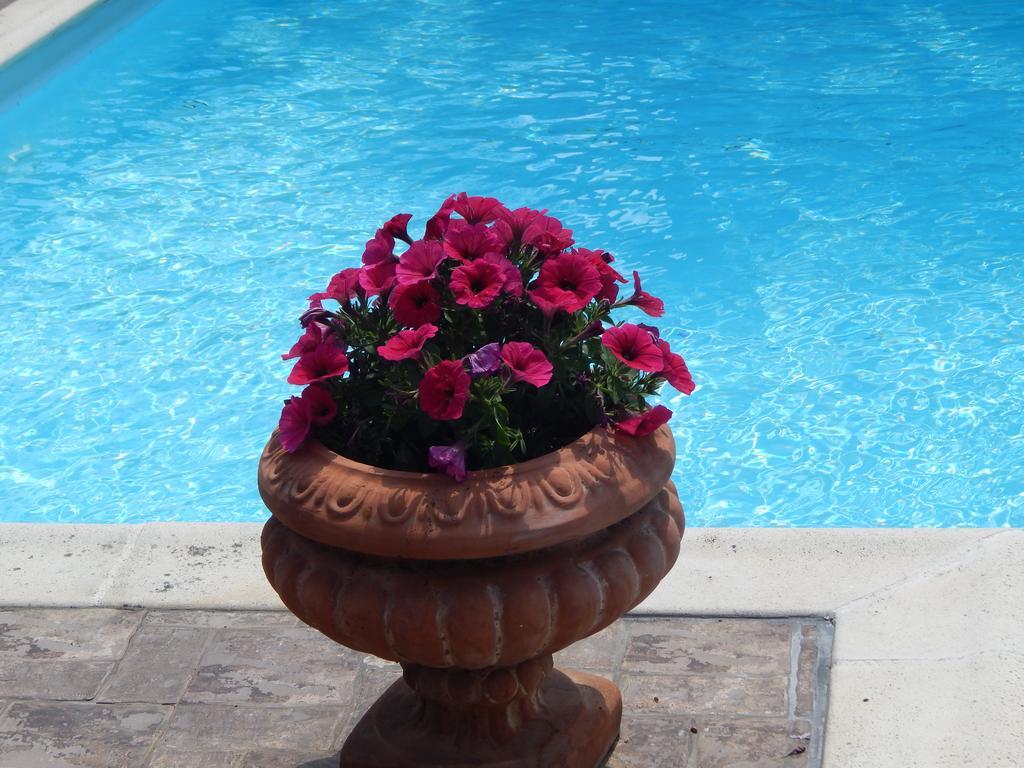 Slow Living Beautiful Villa Rafína Dış mekan fotoğraf