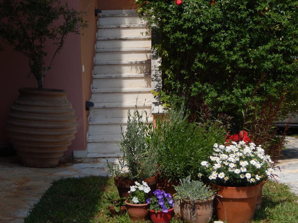 Slow Living Beautiful Villa Rafína Dış mekan fotoğraf
